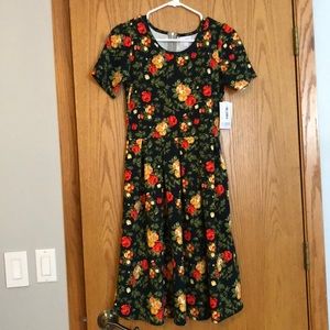 Lularoe floral Amelia dress NWT! Size Small